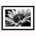 Botanical wall art featuring a vibrant sunflower design, framed in black with a mat, showcasing a modern aesthetic perfect for home decor.