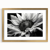 Botanical wall art featuring a vibrant sunflower design in a gold-framed mat, perfect for enhancing home decor with a touch of nature's beauty.
