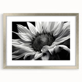 Botanical wall art featuring a vibrant sunflower design in a silver frame with matting, perfect for enhancing home decor and adding a touch of nature.