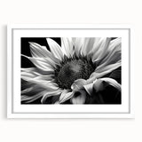 Botanical wall art featuring a vibrant sunflower design framed in white with a mat, perfect for home decor or gifting, showcasing bright yellow petals and intricate details.
