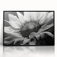 Framed botanical wall art featuring vibrant sunflowers in a stylish black frame, showcasing a contemporary design perfect for home decor. Ideal for nature enthusiasts.