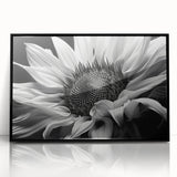 Framed botanical wall art featuring vibrant sunflowers in a stylish black frame, showcasing a contemporary design perfect for home decor. Ideal for nature enthusiasts.