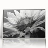 Framed wall art featuring a vibrant botanical sunflower design in acrylic, showcasing a white frame and glass front, perfect for home decor and nature enthusiasts.