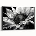 Framed canvas wall art showcasing a botanical sunflower design against a black background, emphasizing vibrant yellows and deep contrasts, perfect for home decor.