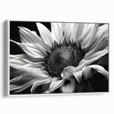 Framed canvas wall art showcasing a vibrant sunflower botanical design with a white frame, perfect for brightening home decor and enhancing interior aesthetics.