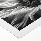 Vibrant botanical sunflower design on rolled canvas wall art, showcasing bright yellow petals and green leaves, perfect for home decor and nature enthusiasts.