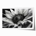 Bright yellow sunflower botanical wall art print featuring intricate details and vibrant colors, perfect for home décor or gallery display. Rolled and ready for framing.