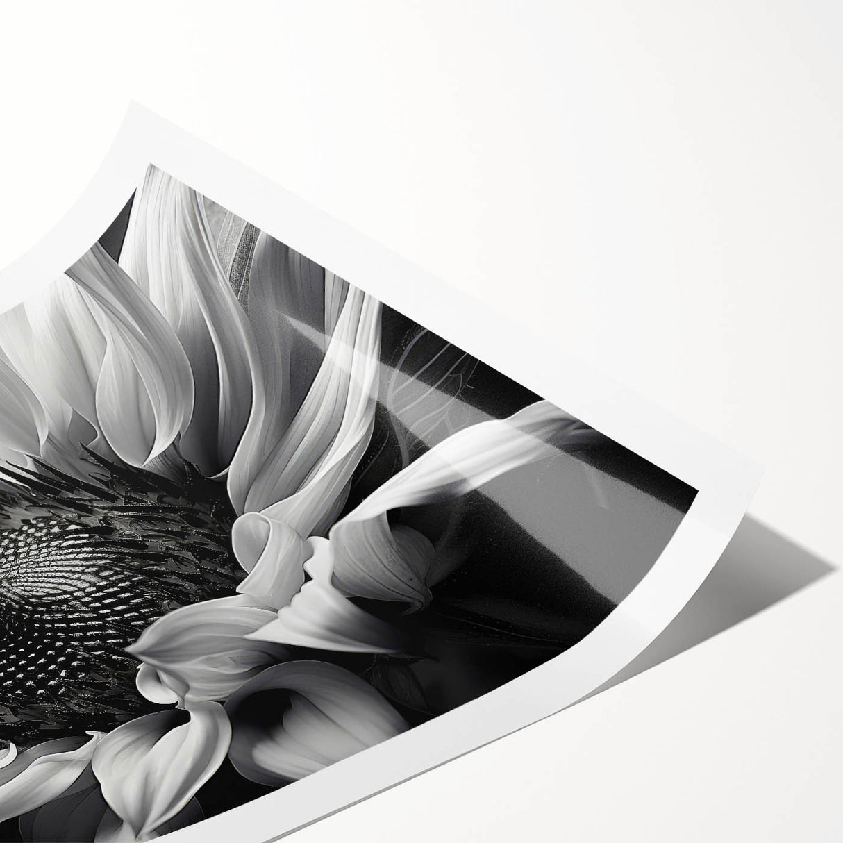 Vibrant botanical wall art showcasing a detailed sunflower design, printed on high-quality material, rolled and ready for framing, perfect for nature-inspired decor.