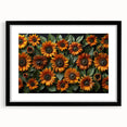Black-framed wall art featuring a vibrant botanical sunflower design, elegantly matted, perfect for home decor and uplifting interior aesthetics.