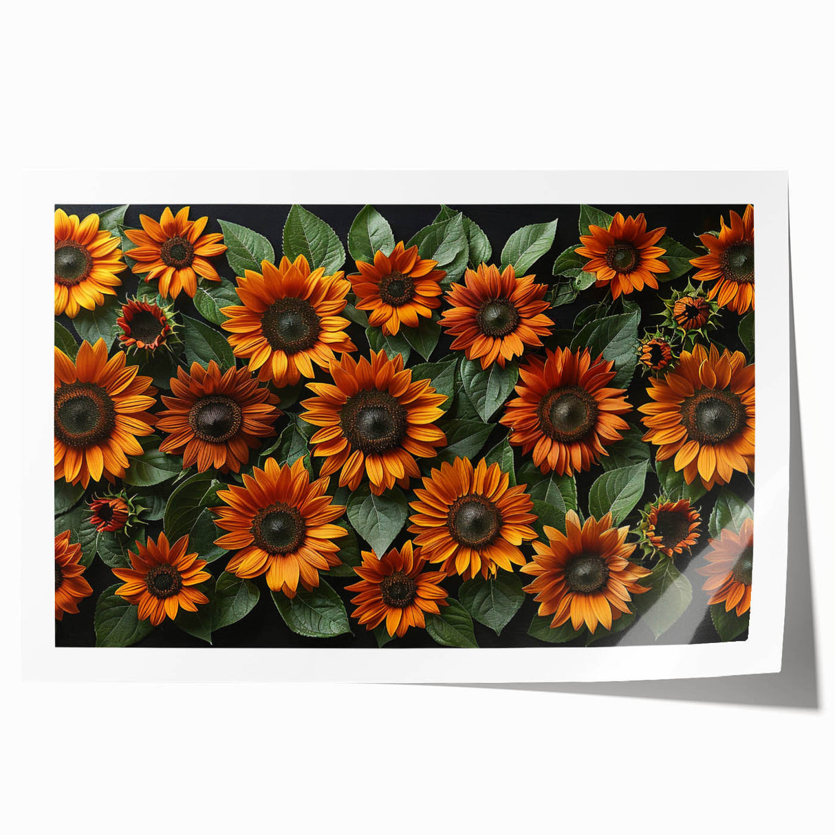 Botanical wall art print showcasing vibrant sunflowers against a soft beige background, rolled for easy shipping and ideal for home decor. Perfect for nature lovers.