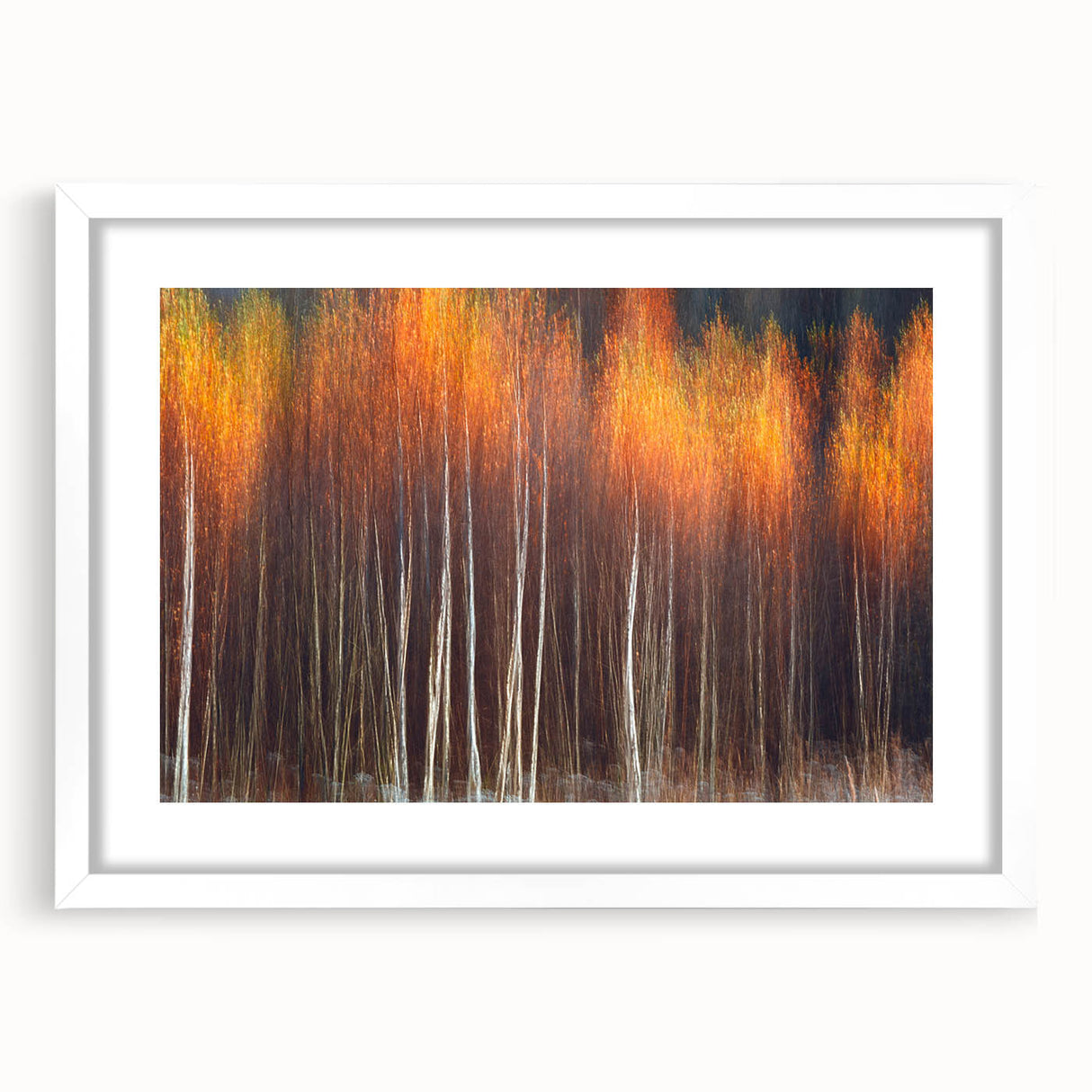 Botanical wall art featuring a vibrant floral design, elegantly framed in white with a mat, perfect for enhancing modern home decor. Ideal for nature lovers.
