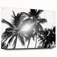 Acrylic glass wall art collection showcasing a botanical tree design in vibrant colors, mounted with pins for display, ideal for nature-inspired decor.