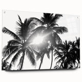 Acrylic glass wall art collection showcasing a botanical tree design in vibrant colors, mounted with pins for display, ideal for nature-inspired decor.