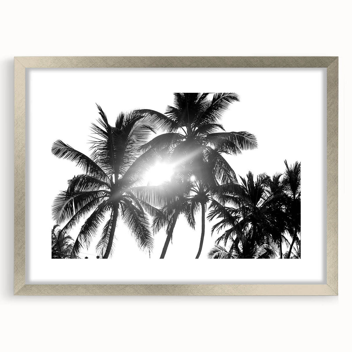 Framed botanical wall art collection featuring a silver mat and elegant floral design, displayed in front view. Perfect for home decor and nature enthusiasts.