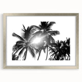 Framed botanical wall art collection featuring a silver mat and elegant floral design, displayed in front view. Perfect for home decor and nature enthusiasts.