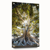 Botanical wall art collection featuring a side view of acrylic glass prints with vibrant floral designs and pins for hanging, enhancing home decor aesthetics.