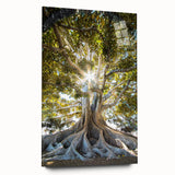 Elegant botanical wall art collection featuring vibrant floral and tree designs in acrylic glass, displayed in a side view, enhancing modern decor aesthetics.