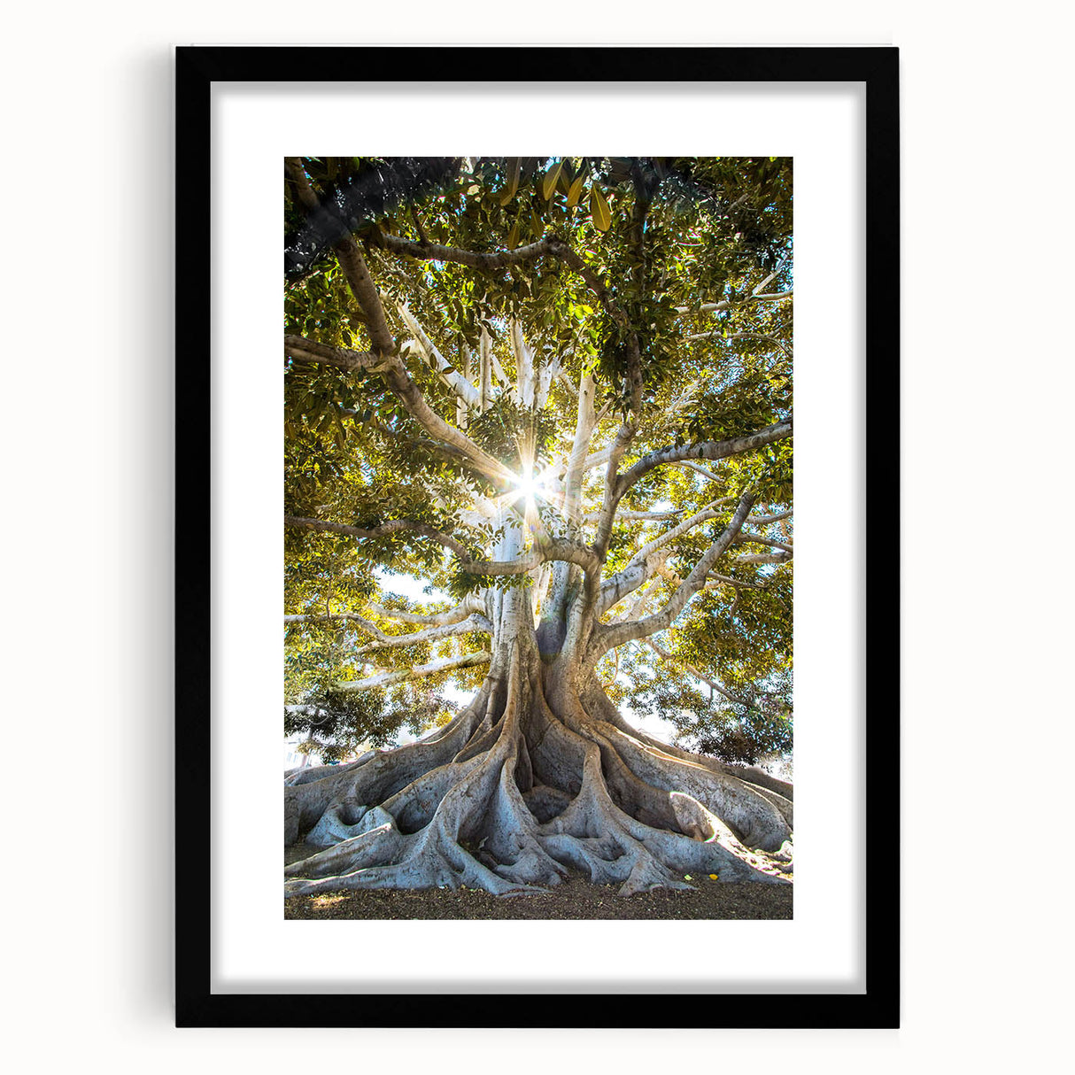 Botanical wall art collection featuring three framed designs of colorful flowers and trees, displayed in a sleek black frame with a white mat. Ideal for home decor.