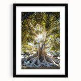 Botanical wall art collection featuring three framed designs of colorful flowers and trees, displayed in a sleek black frame with a white mat. Ideal for home decor.