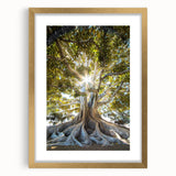Elegant botanical wall art collection featuring framed prints of colorful flowers and trees with a gold mat, ideal for enhancing home decor. Perfect for nature enthusiasts.