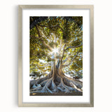 Framed botanical wall art collection featuring intricate flower and tree designs, presented with a silver frame and mat, perfect for home decor.