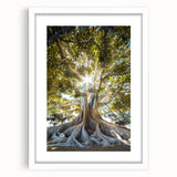 Botanical wall art collection showcasing a framed design of vibrant flowers and trees, featuring a white mat and modern aesthetic, perfect for home decor.