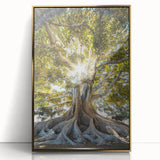 Framed wall art collection featuring a botanical design of colorful flowers and trees, set against a gold-accented acrylic frame, ideal for home decor.