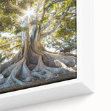 Close-up of a framed botanical wall art collection featuring vibrant flowers and trees, displayed in a modern setting, perfect for home decor enthusiasts.