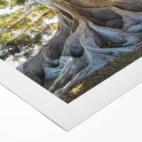 Colorful botanical tree wall art on rolled canvas, showcasing intricate floral designs and vibrant hues, perfect for enhancing home decor and adding a natural touch.