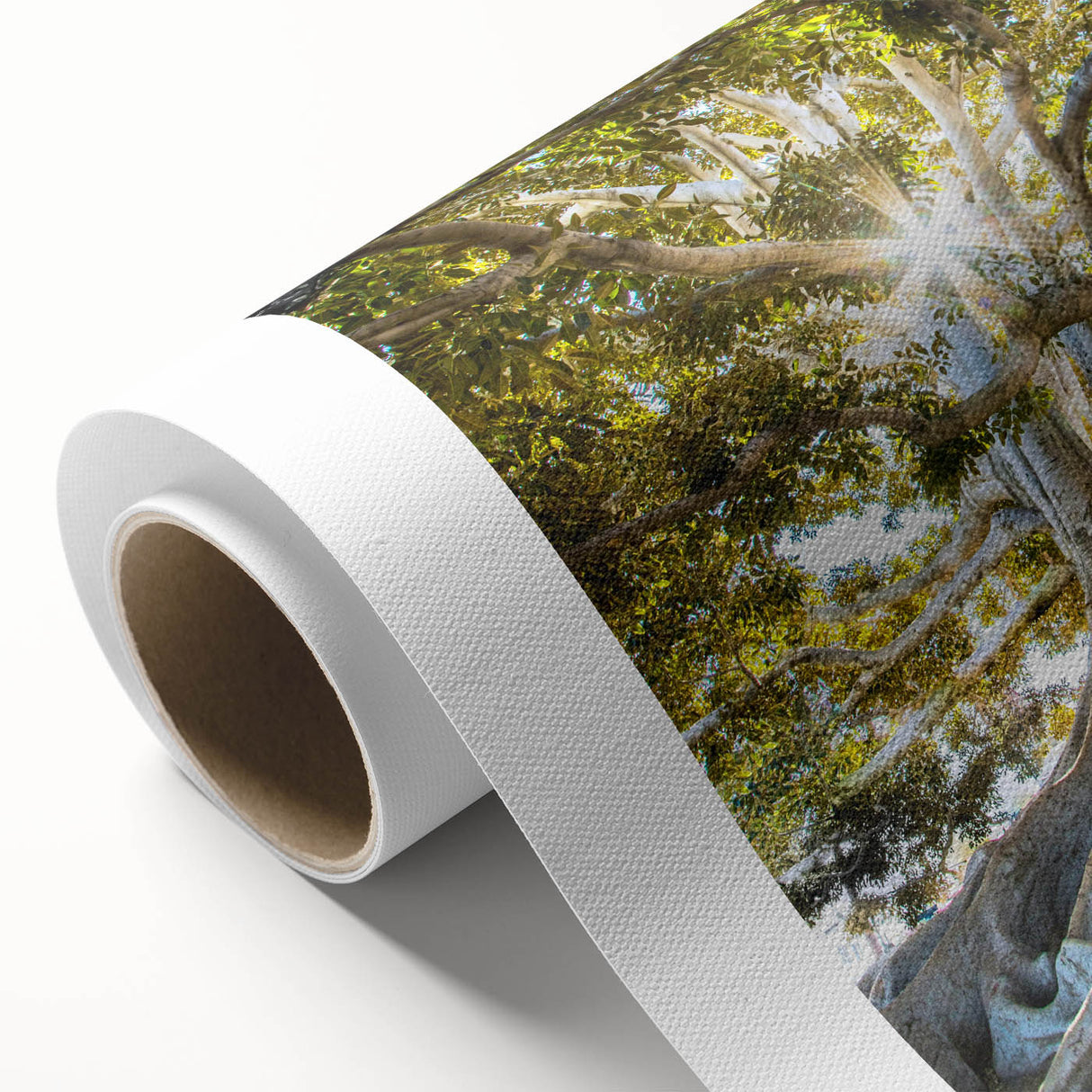 Botanical wall art collection showcasing vibrant flowers and trees on rolled canvas, ideal for home decor, presented in a protective cardboard tube.