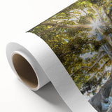 Botanical wall art collection showcasing vibrant flowers and trees on rolled canvas, ideal for home decor, presented in a protective cardboard tube.