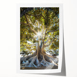 Botanical wall art print showcasing a vibrant collection of floral and tree designs, elegantly rolled for easy display and storage, perfect for home decor enthusiasts.