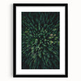 Botanical wall art collection featuring framed floral and tree designs in a sleek black frame, perfect for home decor. Ideal for nature enthusiasts and art lovers.