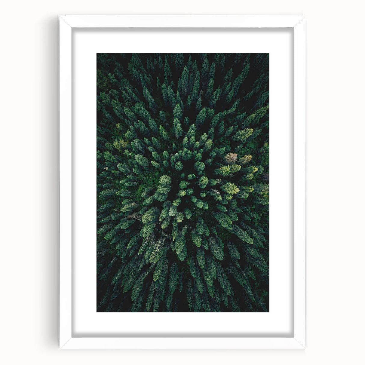 Floral-themed wall art collection featuring botanical tree designs, elegantly framed with a white mat, designed to enhance home decor with natural beauty.