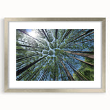 Framed botanical wall art collection featuring vibrant flowers and trees, elegantly arranged in a silver frame with a mat, perfect for home decor.