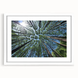 Botanical wall art collection showcasing a framed design of colorful flowers and trees, mounted with a white mat, perfect for home decor.