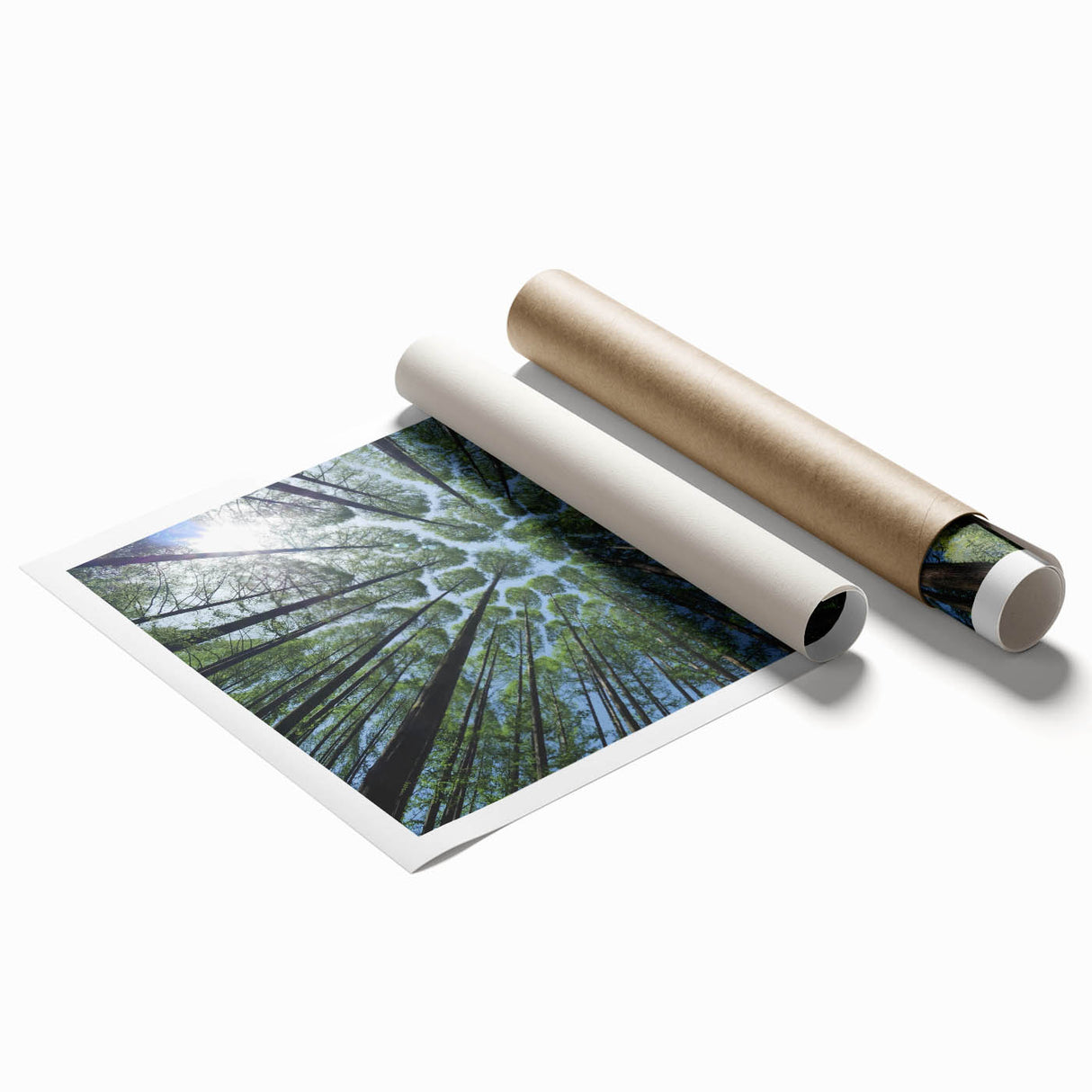 Botanical wall art print showcasing a collection of vibrant flowers and trees, designed for home decor. The rolled print features intricate details and rich colors, perfect for enhancing any living space.