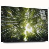 Elegant botanical wall art collection featuring vibrant flowers and trees, displayed in an acrylic glass frame. Ideal for enhancing home decor with nature-inspired aesthetics.