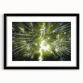Botanical wall art collection featuring elegant flower and tree designs in a sleek black frame with matting, perfect for home decor enhancement.