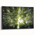 Framed botanical wall art collection featuring vibrant flower and tree designs, set against a sleek black background, showcased from a side view. Perfect for enhancing home decor.