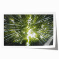 Botanical wall art print featuring a vibrant collection of flowers and trees, showcasing intricate details and colors, rolled and designed for easy display.