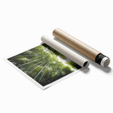 Botanical wall art collection featuring vibrant floral and tree designs on a rolled print, showcasing intricate details and rich colors, perfect for home decor.
