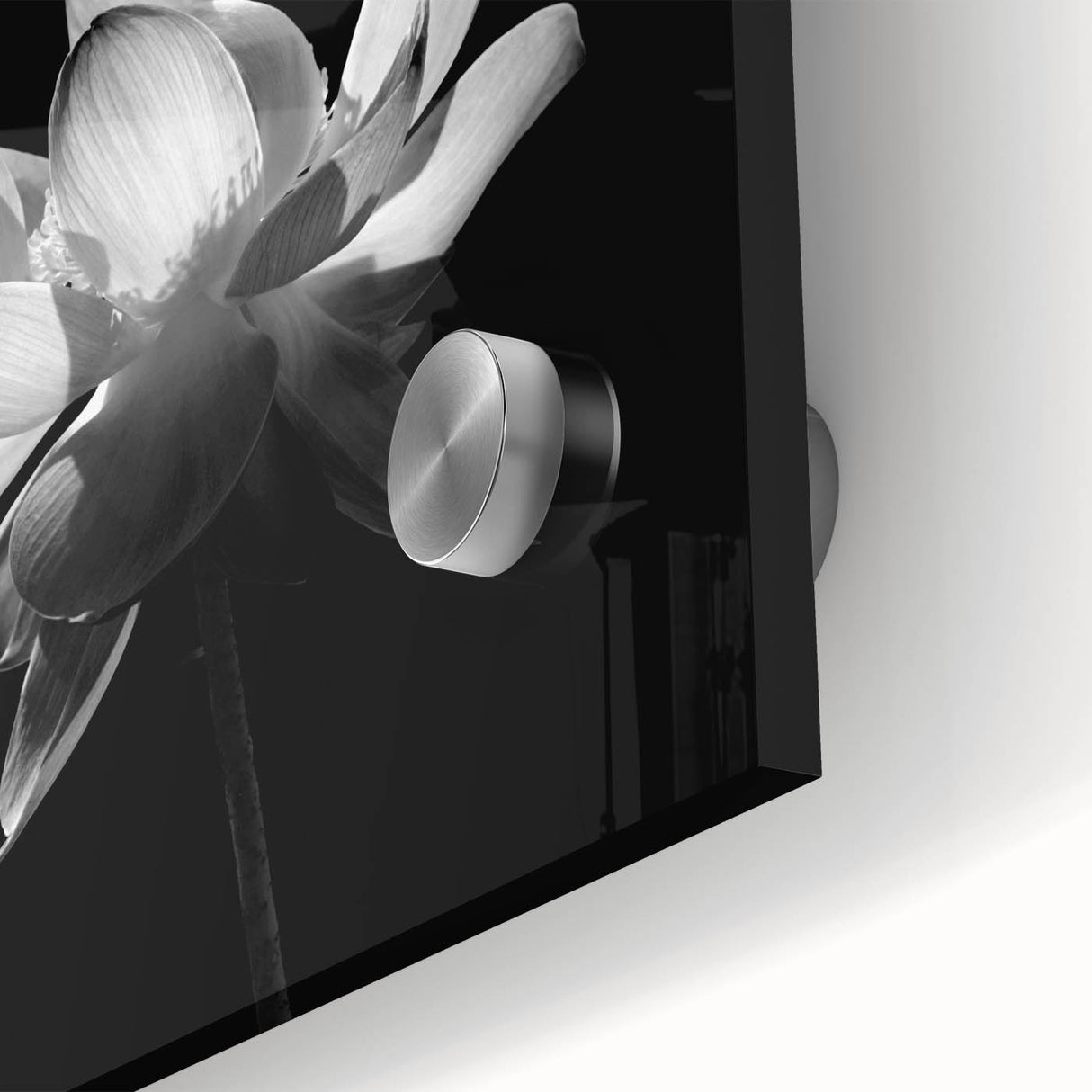 Vibrant close-up of a tropical botanical flower design in an acrylic glass wall art piece, showcasing intricate details and vivid colors, perfect for home decor.