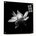 Tropical botanical wall art featuring vibrant flowers in an acrylic glass frame, displayed from the side with stylish pins, perfect for adding color to any space.