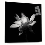 Tropical floral wall art design displayed in acrylic glass, showcasing vibrant colors and intricate botanical details, perfect for home decor enhancement.