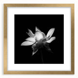 Tropical botanical wall art featuring a vibrant floral design in a gold frame with a mat, ideal for home decor. Perfect for adding a touch of nature to any room.
