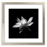 Tropical botanical wall art featuring vibrant flowers in a silver frame with a mat, showcasing a modern design ideal for home decor. Perfect for adding a pop of color to any space.
