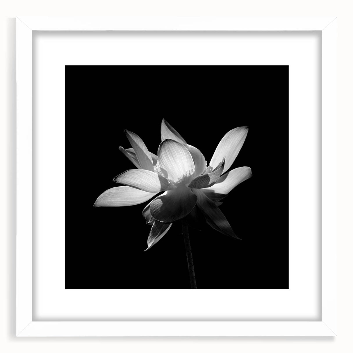 Tropical botanical wall art featuring vibrant pink and green flowers in a white frame with a mat, perfect for enhancing home decor and creating a lively atmosphere.