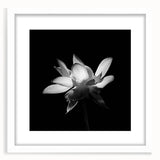 Tropical botanical wall art featuring vibrant pink and green flowers in a white frame with a mat, perfect for enhancing home decor and creating a lively atmosphere.