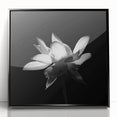 Framed wall art showcasing a vibrant tropical flower design with lush green leaves, featuring a sleek black frame, ideal for home decor in modern interiors.